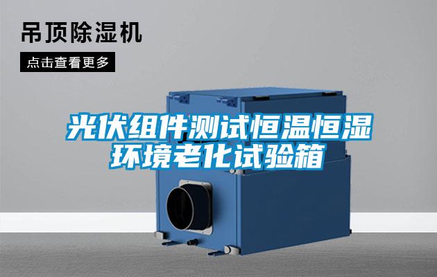 光伏组件测试恒温恒湿环境老化试验箱