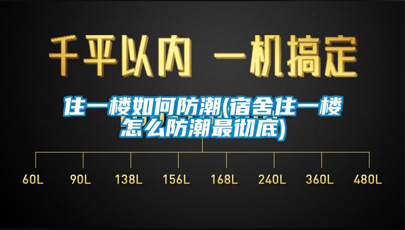 住一楼如何防潮(宿舍住一楼怎么防潮最彻底)