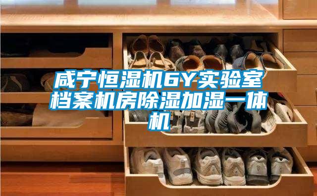 咸宁恒湿机6Y实验室档案机房除湿加湿一体机