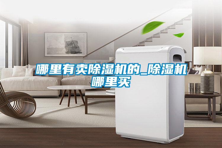 哪里有卖除湿机的_除湿机哪里买