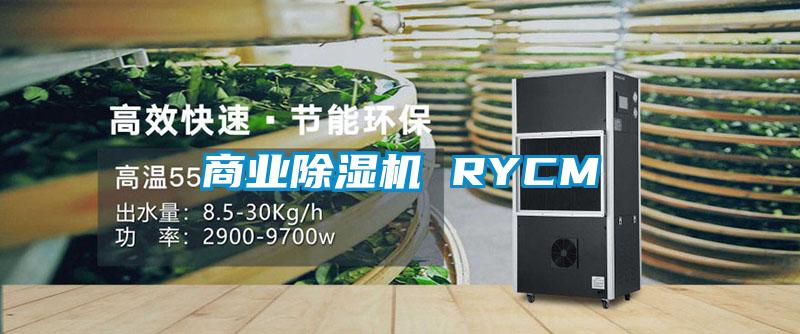 商业除湿机 RYCM