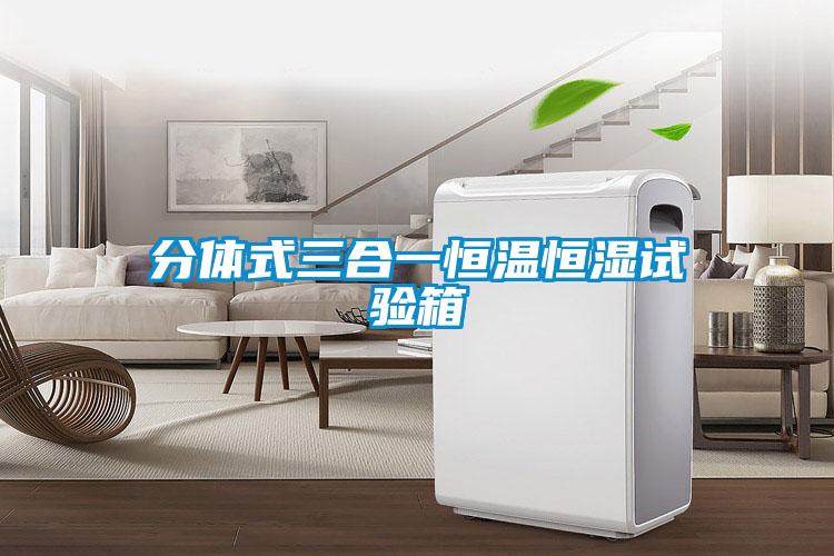 分体式三合一恒温恒湿试验箱