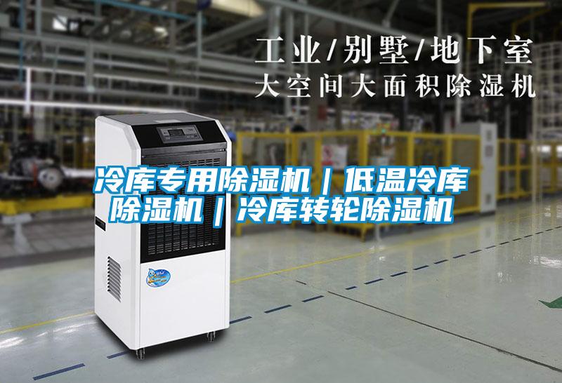 冷库专用除湿机｜低温冷库除湿机｜冷库转轮除湿机