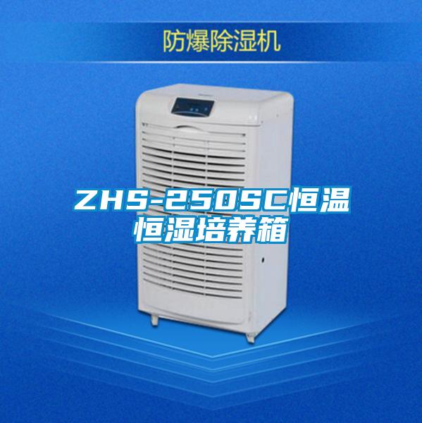 ZHS-250SC恒温恒湿培养箱
