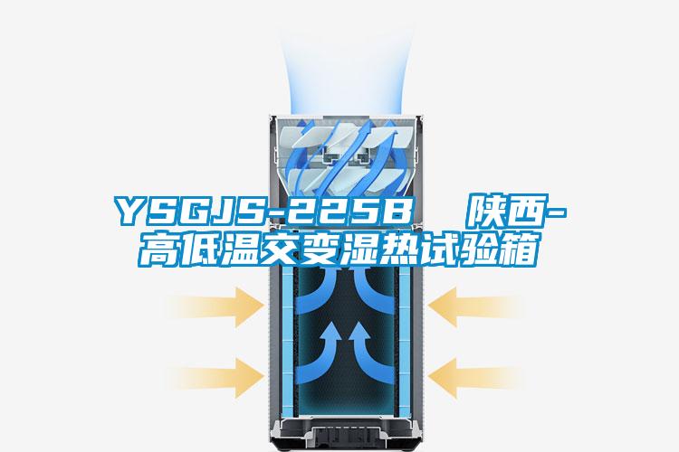 YSGJS-225B 陕西-高低温交变湿热试验箱