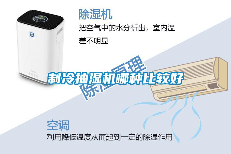 制冷抽湿机哪种比较好