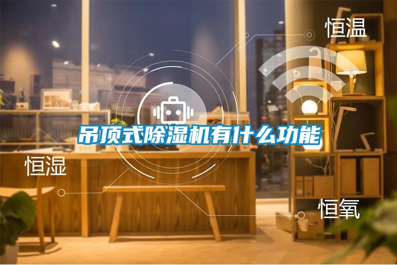 吊顶式除湿机有什么功能