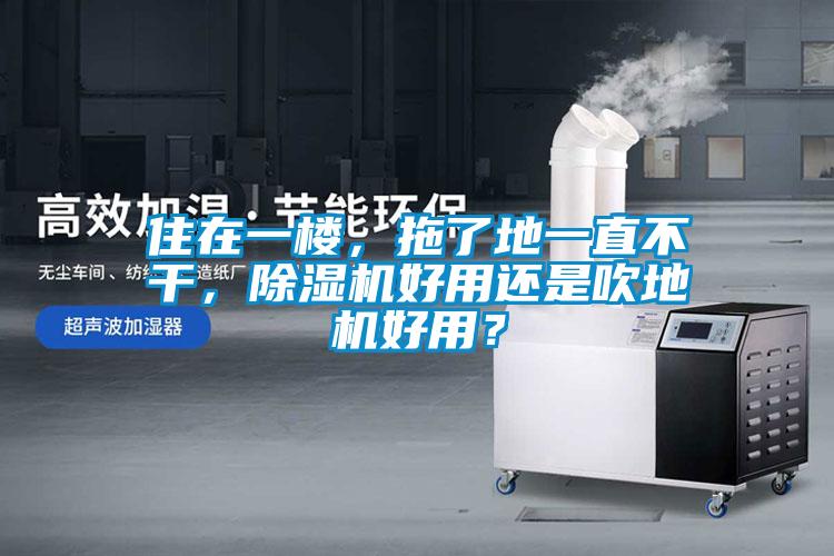住在一楼，拖了地一直不干，除湿机好用还是吹地机好用？