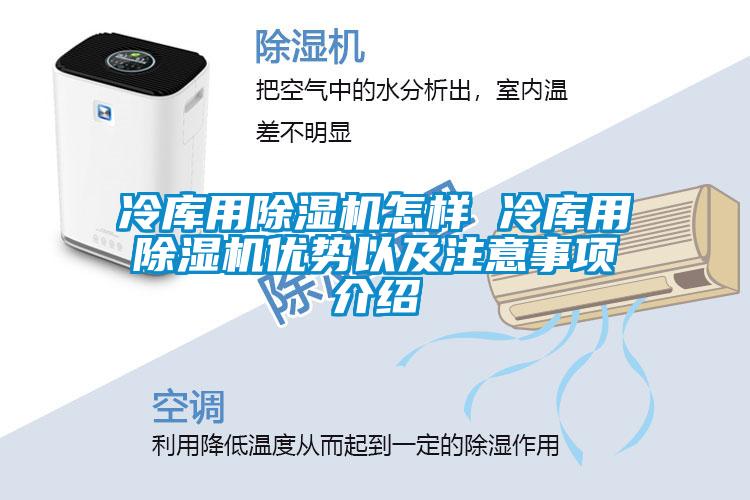 冷库用除湿机怎样 冷库用除湿机优势以及注意事项介绍