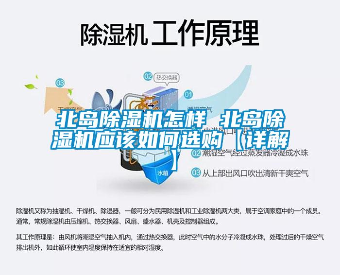 北岛除湿机怎样 北岛除湿机应该如何选购【详解】