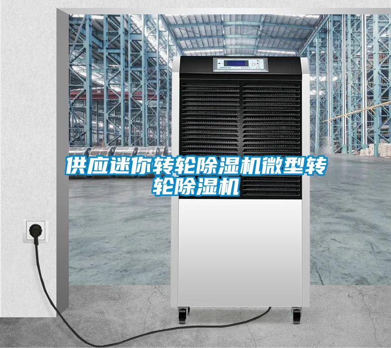 供应迷你转轮除湿机微型转轮除湿机