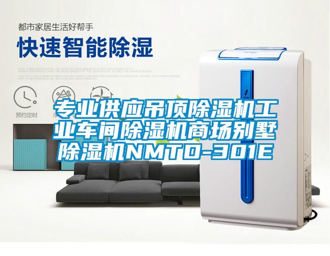 专业供应吊顶除湿机工业车间除湿机商场别墅除湿机NMTD-301E