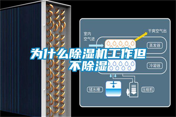 为什么除湿机工作但不除湿