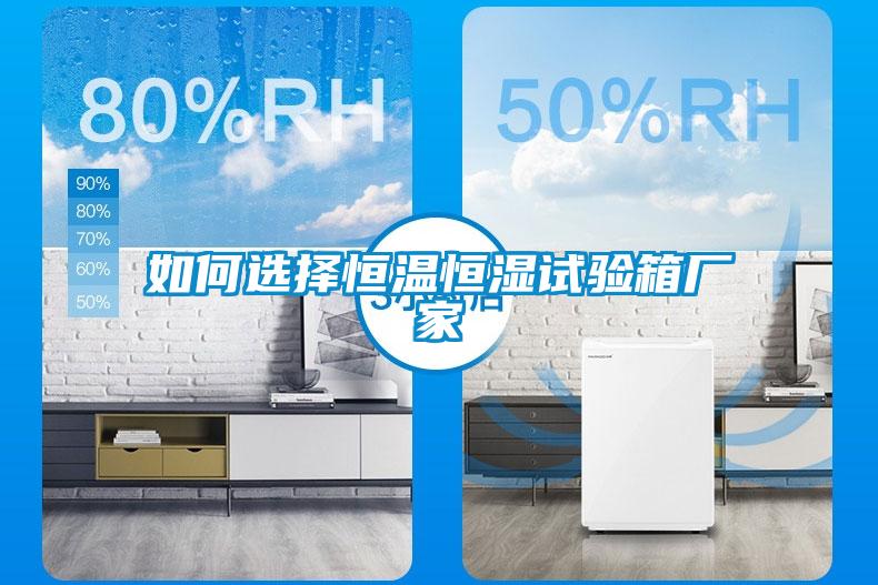 如何选择恒温恒湿试验箱厂家