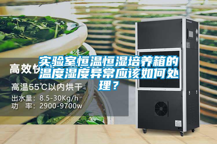 实验室恒温恒湿培养箱的温度湿度异常应该如何处理？