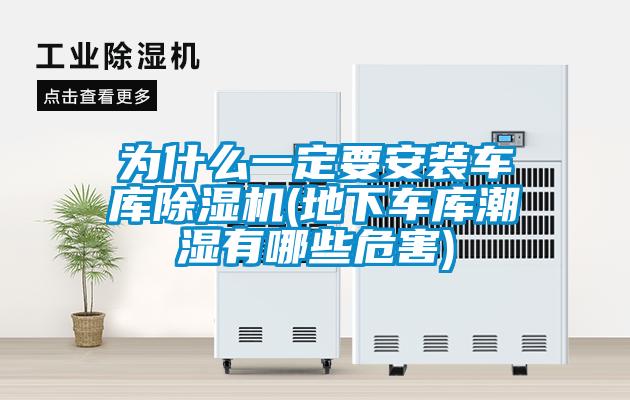 为什么一定要安装车库除湿机(地下车库潮湿有哪些危害)