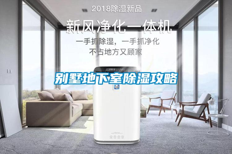 别墅地下室除湿攻略