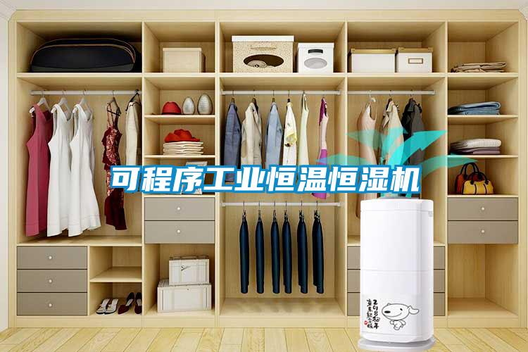 可程序工业恒温恒湿机
