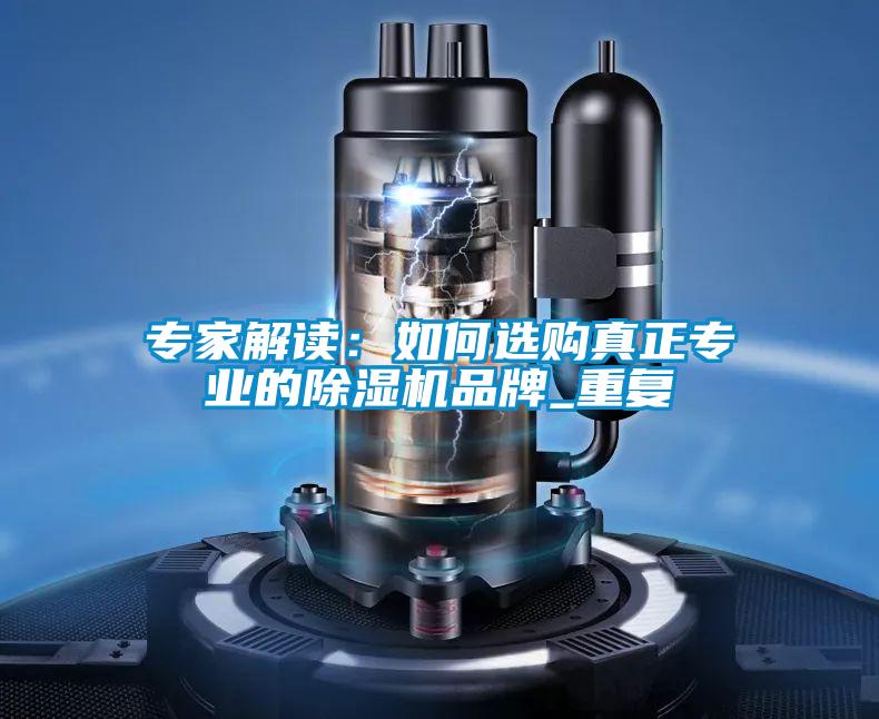 专家解读:如何选购真正专业的除湿机品牌_重复
