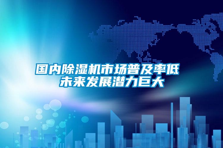 国内除湿机市场普及率低 未来发展潜力巨大