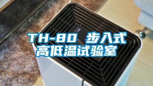 TH-80 步入式高低温试验室