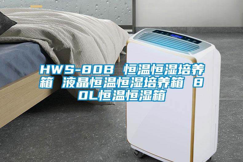 HWS-80B 恒温恒湿培养箱 液晶恒温恒湿培养箱 80L恒温恒湿箱