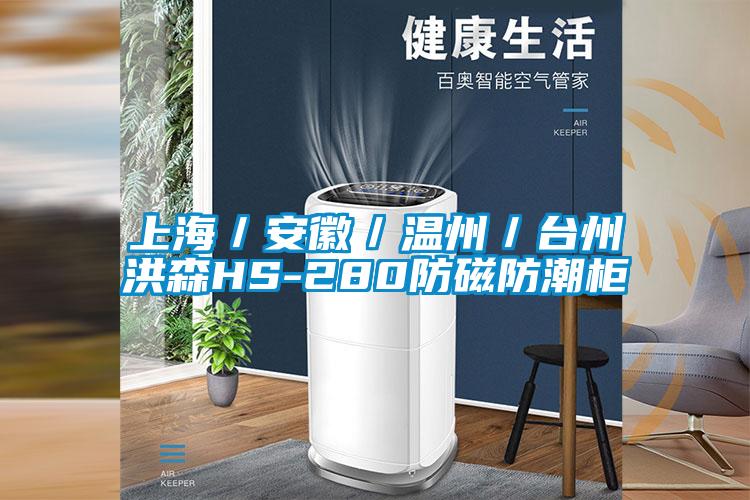 上海／安徽／温州／台州洪森HS-280防磁防潮柜