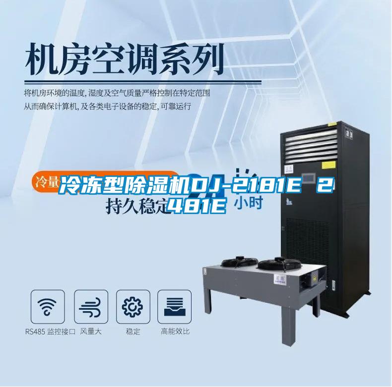 冷冻型除湿机DJ-2181E 2481E