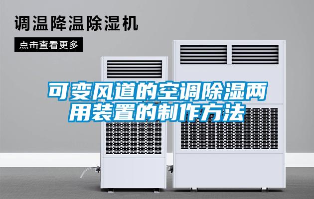 可变风道的空调除湿两用装置的制作方法