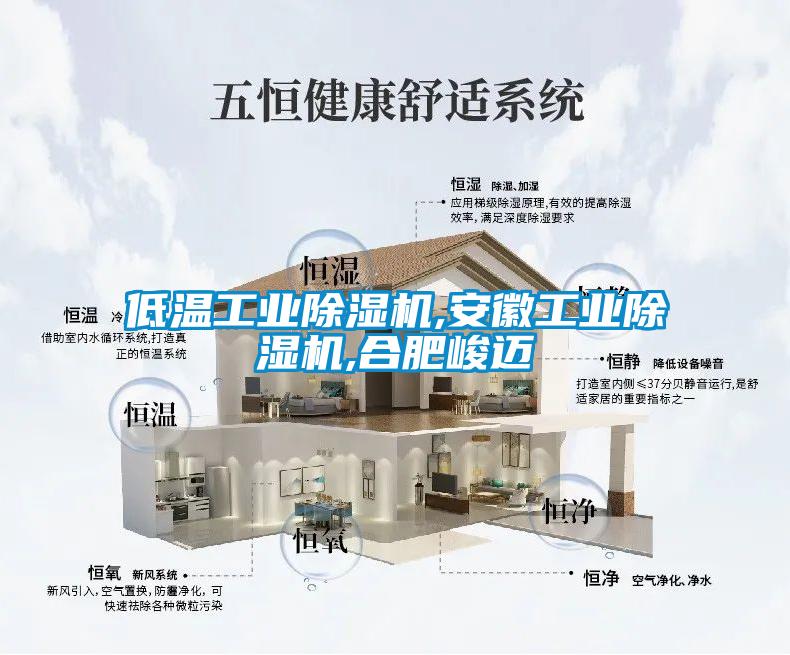 低温工业除湿机,安徽工业除湿机,合肥峻迈