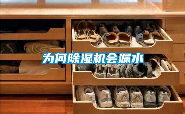 为何除湿机会漏水