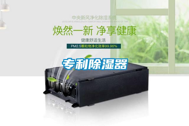 专利除湿器