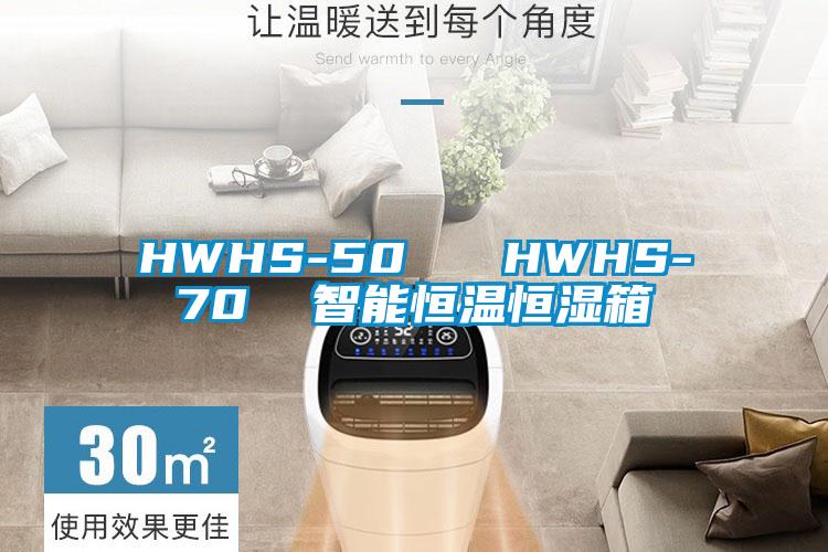 HWHS-50   HWHS-70  智能恒温恒湿箱