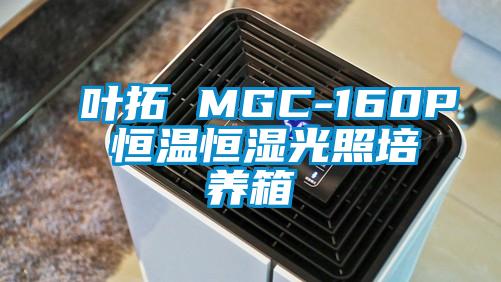 叶拓 MGC-160P 恒温恒湿光照培养箱