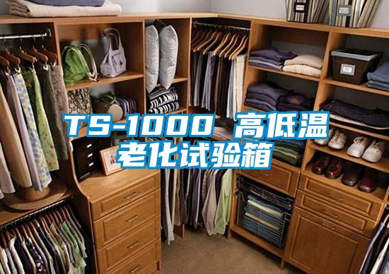 TS-1000 高低温老化试验箱