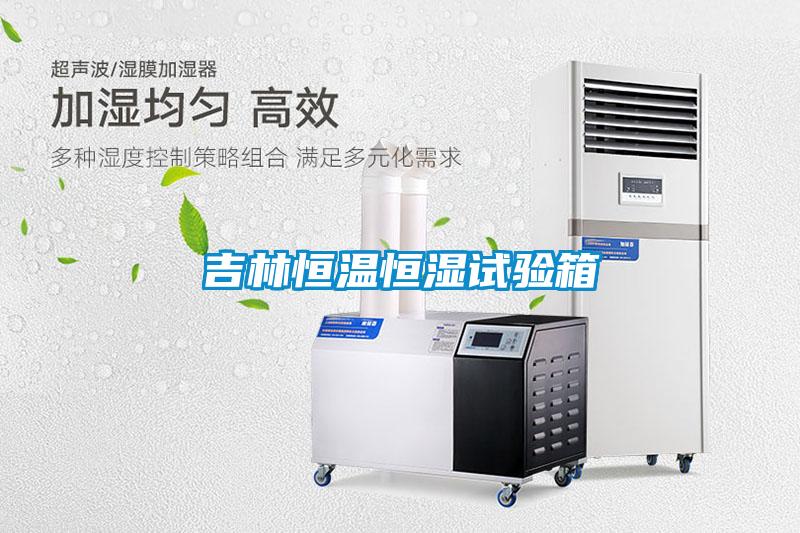 吉林恒温恒湿试验箱