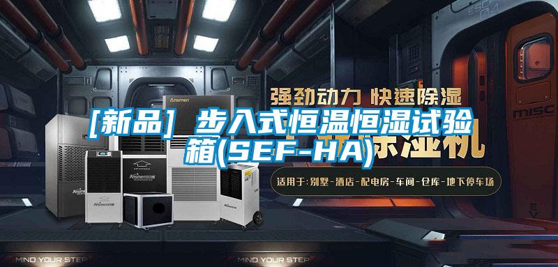 [新品] 步入式恒温恒湿试验箱(SEF-HA)