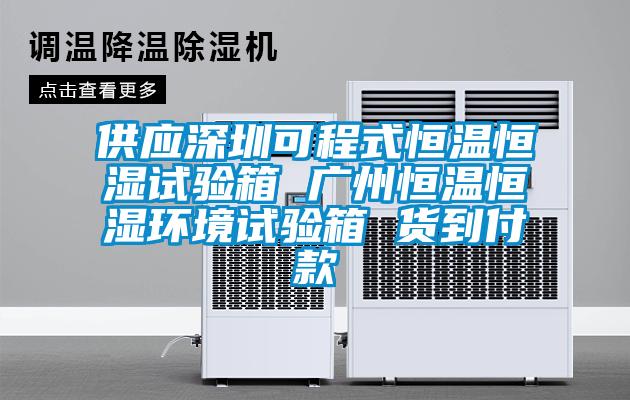 供应深圳可程式恒温恒湿试验箱 广州恒温恒湿环境试验箱 货到付款