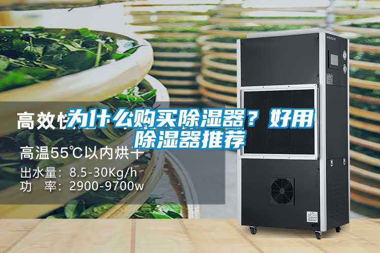 为什么购买除湿器？好用除湿器推荐