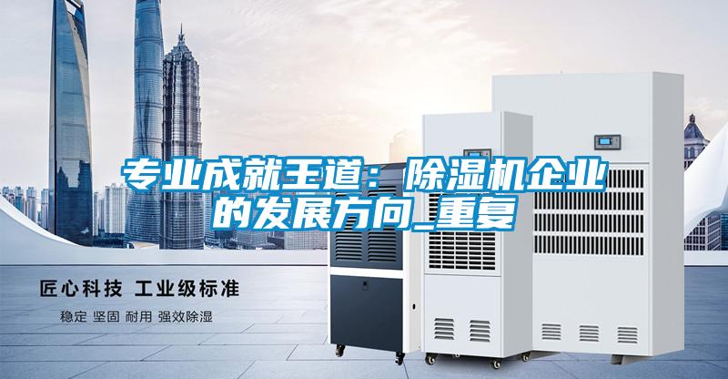 专业成就王道：除湿机企业的发展方向_重复