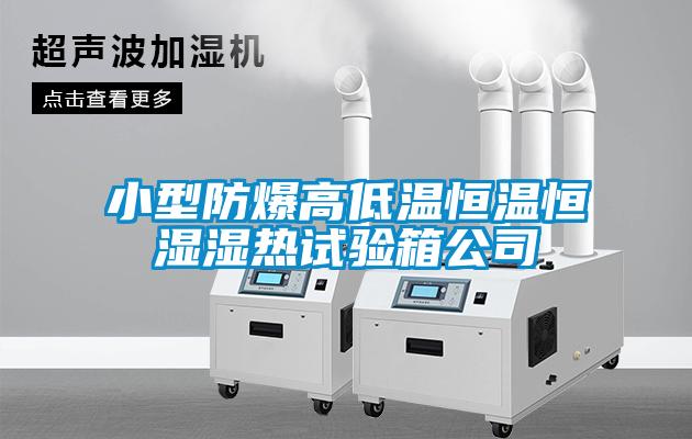 小型防爆高低温恒温恒湿湿热试验箱公司