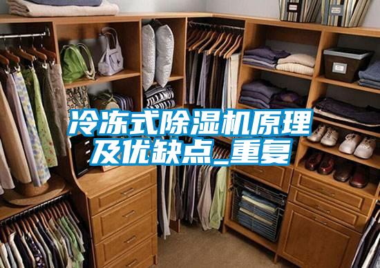 冷冻式除湿机原理及优缺点_重复
