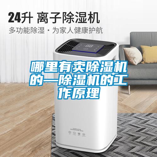 哪里有卖除湿机的—除湿机的工作原理