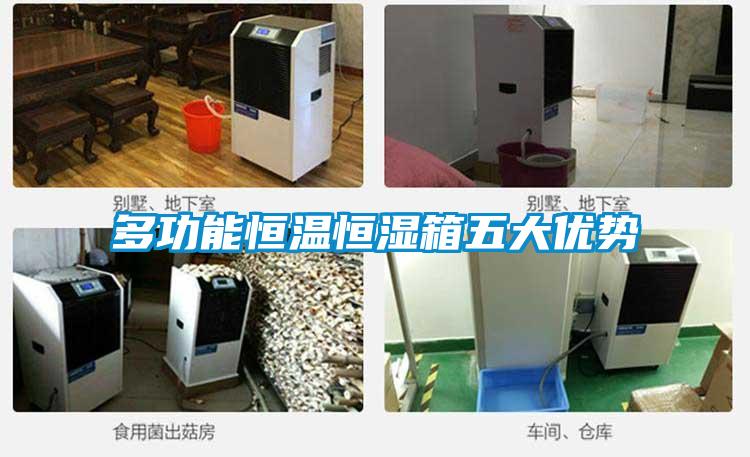 多功能恒温恒湿箱五大优势
