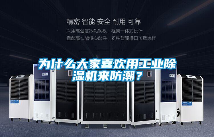 为什么大家喜欢用工业除湿机来防潮？