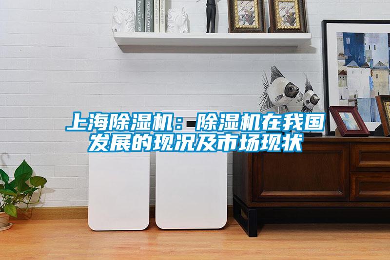 上海除湿机：除湿机在我国发展的现况及市场现状