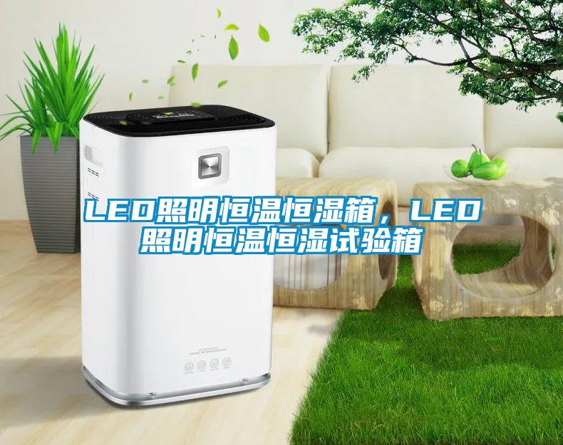 LED照明恒温恒湿箱，LED照明恒温恒湿试验箱