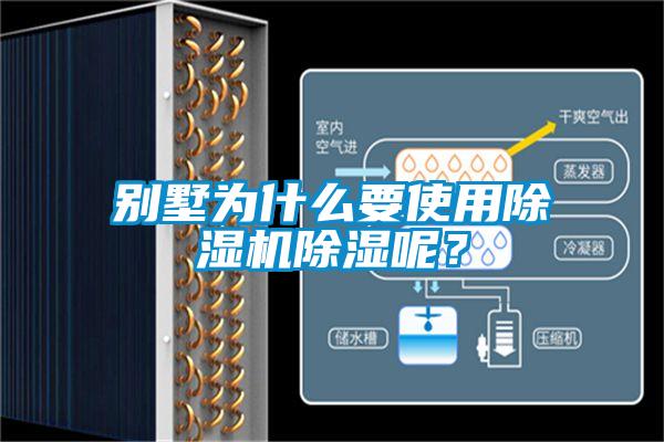 别墅为什么要使用除湿机除湿呢？