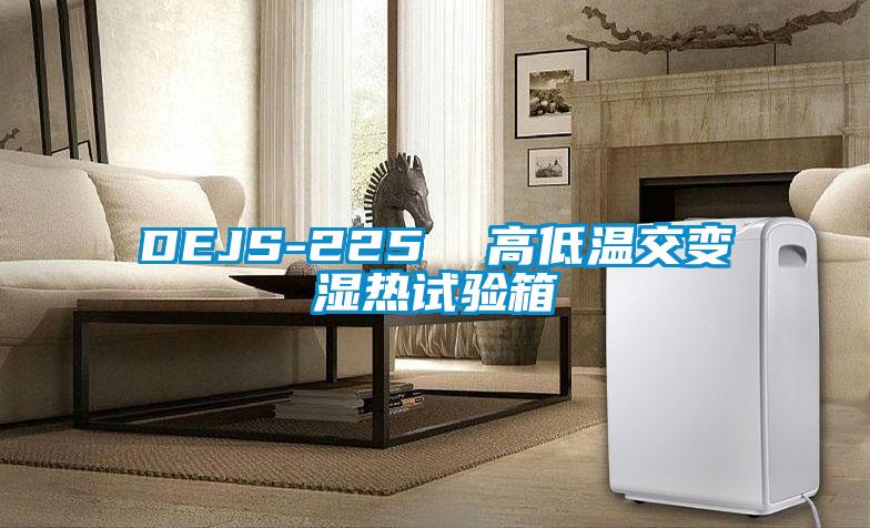 DEJS-225  高低温交变湿热试验箱