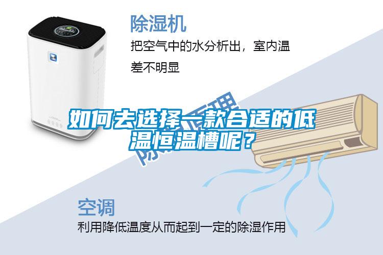 如何去选择一款合适的低温恒温槽呢？